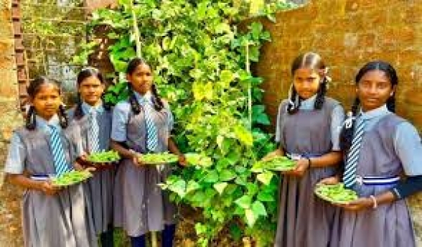 विद्यालय की बगिया से थाली तक: बच्चों को मिल रहा पौष्टिक आहार