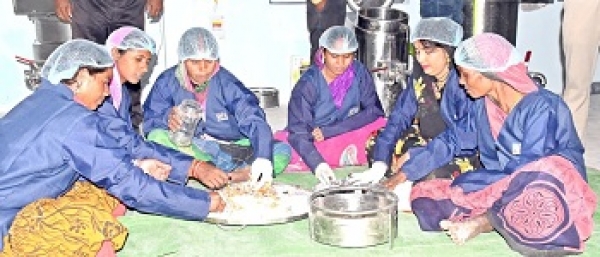 रीपा: मुंगेली 