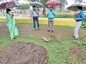 बरसते पानी में भर्रीटोला के गौठान व चारागाह का कलेक्टर ने किया निरीक्षण