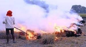 फसल अवशेष, पलारी, नरवाई जलाने पर होगी आर्थिक दण्ड की कार्रवाई