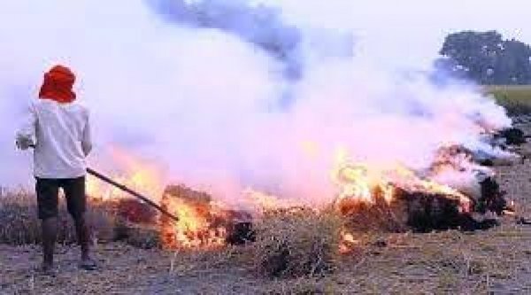 फसल अवशेष, पलारी, नरवाई जलाने पर होगी आर्थिक दण्ड की कार्रवाई