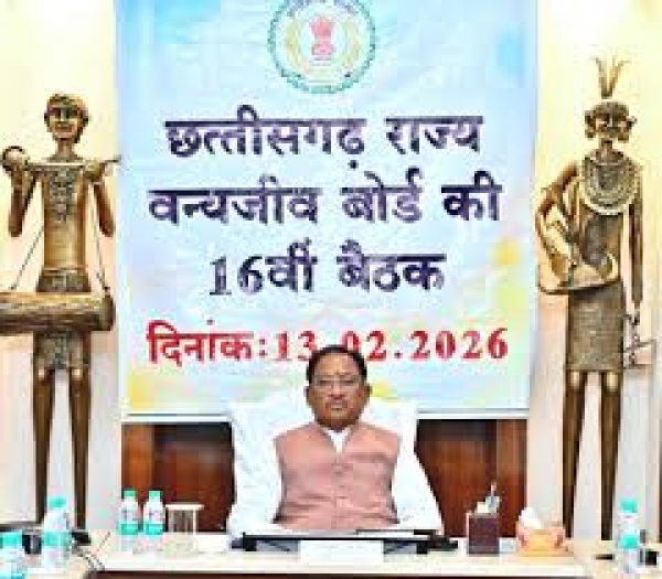 मुख्यमंत्री साय की अध्यक्षता में छ.ग.़ राज्य वन्य जीव बोर्ड की बैठक संपन्न