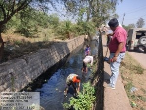 स्वच्छता सर्वेक्षण के तहत् नालों में डेªसिंग प्रारंभ