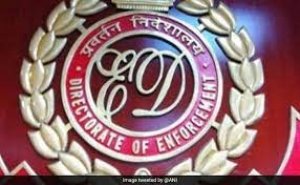 समुद्री ककड़ी तस्करी मामले में ED का सर्च ऑपरेशन, कई नकद रसीदें, चेक और आपत्तिजनक दस्तावेज जब्त किए गए