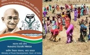 कोरोना काल में मनरेगा की संजीवनी, वित्तीय वर्ष में 66 करोड़ रुपए का मजदूरी भुगतान हुआ