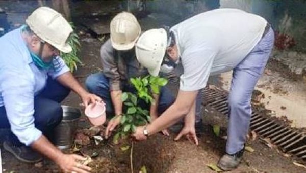 वायर राड मिल में चला वृक्षारोपण व स्वच्छता अभियान