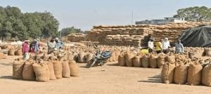 धान उठाव में तेजी लाने राइस मिलों की निरंतर जांच