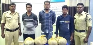 गांजा के परिवहन एवं बिक्री हेतु ग्राहक तलाश करते 03 आरोपियों को गांजा सहित रंगे हाथ पकड़ाये