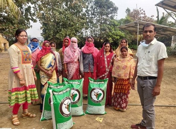 गोधन न्याय योजना से मिल रहा महिलाओं को आर्थिक संबल : गौठानों में महिला स्व-सहायता समूह कर रहे वर्मी कंपोस्ट खाद का निर्माण महिलाओं को संबल देने उद्यानिकी विभाग खरीद रहा खाद