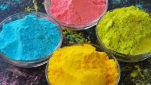 प्राकृतिक संसाधनों का उपयोग कर तैयार कर रही हैं हर्बल गुलाल बिहान दीदियां : बस्तर की बिहान दीदियां घोलेंगी होली में कुदरती रंग