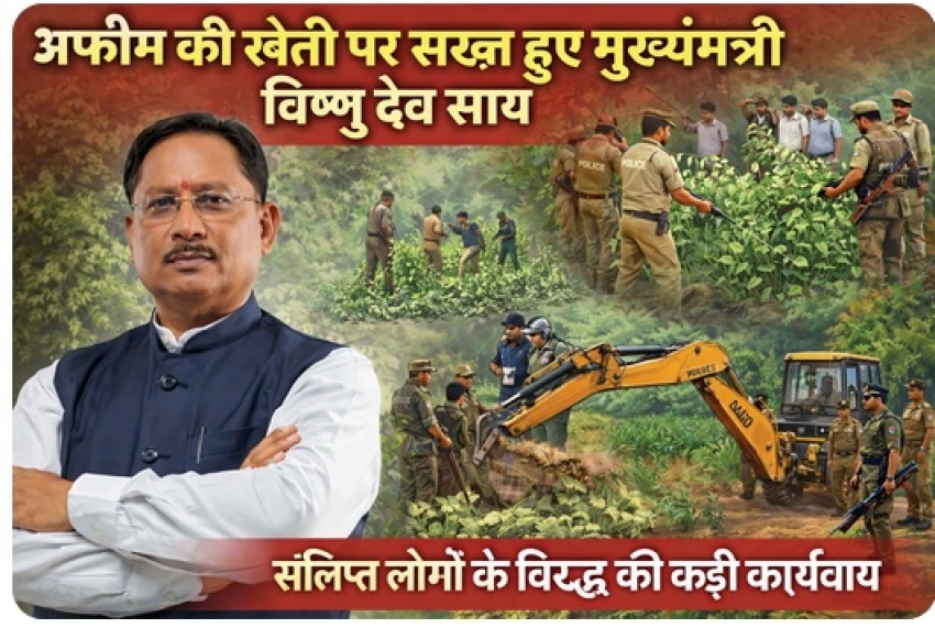 अफीम की खेती पर सख्त हुए मुख्यमंत्री विष्णु देव साय संलिप्त लोगों के विरुद्ध की गई कड़ी कार्रवाई