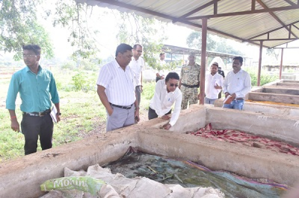 कलेक्टर की नई पहल शासकीय योजनाओं की स्थिति जानने विकासखंड व जिला स्तरीय अधिकारी पहुंचेंगे ग्राम पंचायत