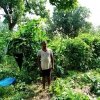 वन अधिकार पत्र मिलने से जमीन का मालिक बना रामू  धान की फसल के साथ सब्जी की फसल लेकर बढ़ा रहा आमदनी