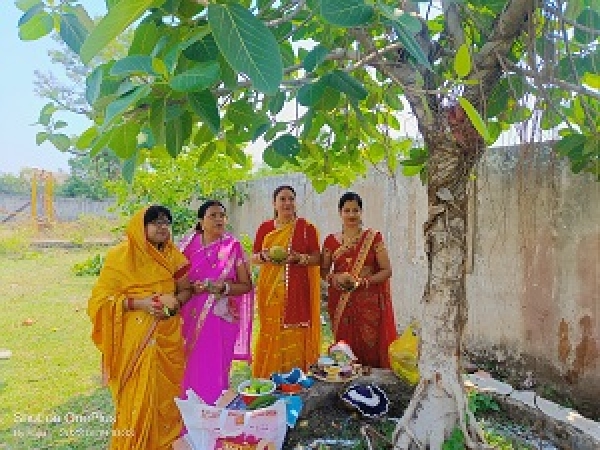 वट सावित्री की पूजा- दुर्ग 