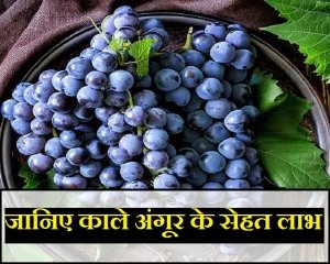 गर्मियों में करें काले अंगूर का सेवन, कई बीमारियां होंगी दूर