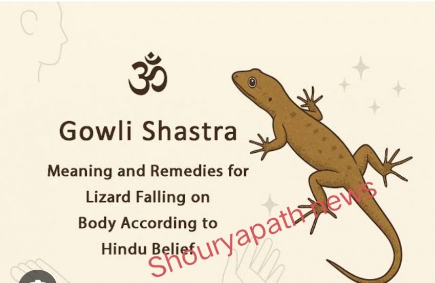 हथेली पर गिरे तो आफत, पीछे गिरे तो बरकत! जानिए छिपकली के गिरने का क्या है असली संकेत