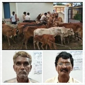 *अवैध रूप से पशुओं की तस्करी करते 02 आरोपी गिरफ्तार*