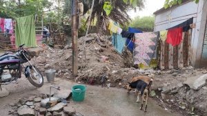 स्वक्षता सर्वेक्षण में जीतने का दावा करने वाला दुर्ग निगम किंतना होगा अपने अभियान में सफल....