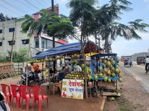 धूप में वृछ बन रहा सहारा, दो वर्ष पहले लगाए गए पौधे इतने बड़े हो गए कि वृक्ष बनकर देने लगे छांव