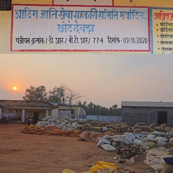 700 बोरी धान की हो गई चोरी... फिर भी जिम्मेदार कर रहे सीना जोरी?