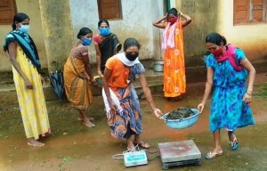 सफलता की कहानी - गौठान से मिली तरक्की की नयी राह