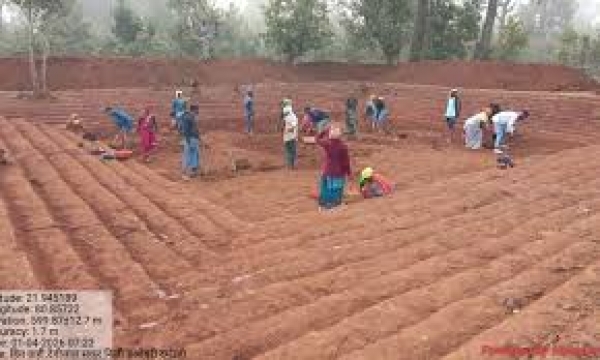 जल संरक्षण से आजीविका तक छत्तीसगढ़ में 'आजीविका डबरी&Oacute; अभियान बना ग्रामीण बदलाव की धुरी