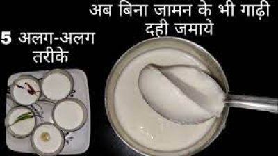 बिना जामन हलवाई जैसी दही जमाने के लिए अपनाएं ये खास टिप्सTips to make curd at home