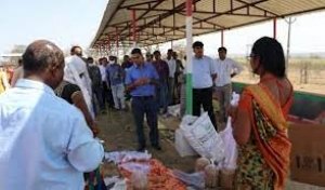कोरिया : कलेक्टर ने कुशहा गौठान में महिलाओं से जानी आजीविका गतिविधियों की कहानी