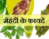 नौतपा में जानिए मेहंदी के 10 health benefits