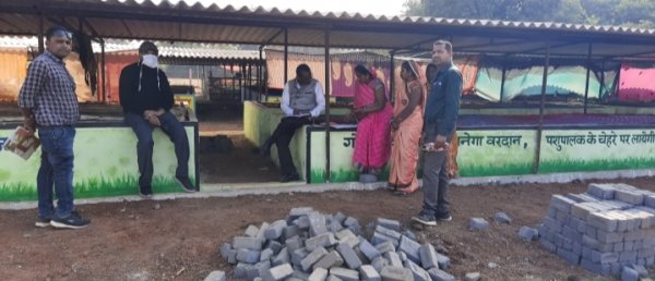 *गोधन न्याय योजना से ग्रामीण अर्थव्यवस्था को मिल रही मजबूती*