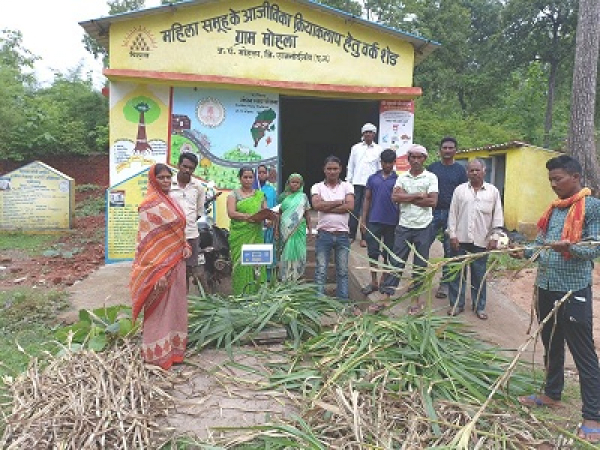 नेपियर रूट्स का विक्रय कर समूह की महिलाओं ने कमाये 1 लाख 50 हजार रूपए