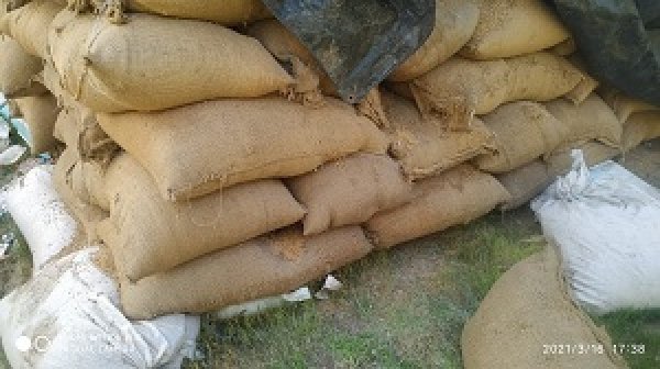 मंडियों में पड़े है 2.71 लाख क्विंटल धान, परिवहन का अभाव में समितियों को होगा नुकसान