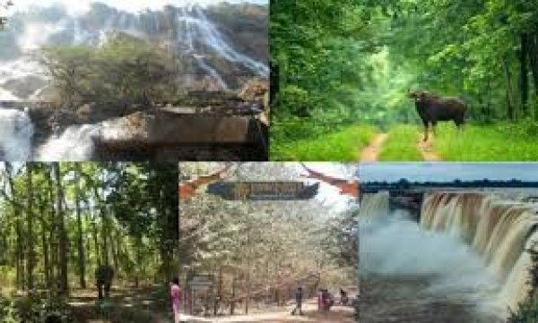 टूरिस्ट स्पॉट पर दिव्यांगों के लिए  बनेगा रैंप रूट, बुकिंग पर छूट भी