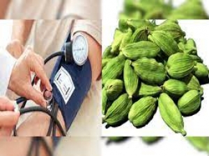 इलायची का सेवन करने के हैं अनेक फायदे, ब्लड प्रेशर, पाचन और मेंटल हेल्थ के साथ देती है ये 9 जबरदस्त लाभ