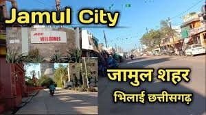 एसीसी जामुल के सीएसआर ने किया विभिन्न कार्यों का अवलोकन