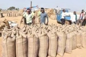 अब तक 17.24 लाख टोकन से 87 लाख टन धान की हो चुकी खरीदी  धान खरीदी के एवज में किसानों को 7 हजार 771 करोड़ रुपए का भुगतान
