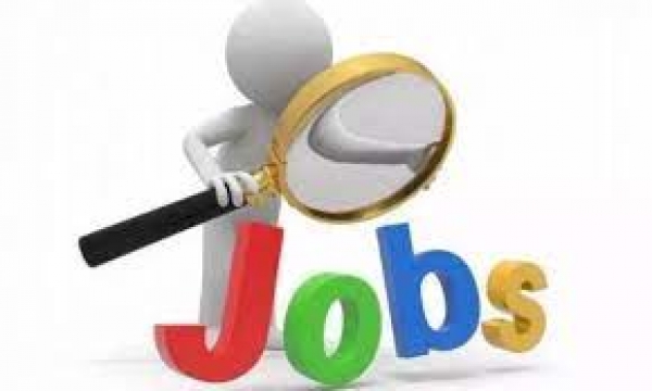 रोजगार कार्यालय परिसर में प्लेसमेंट कैम्प का आयोजन 22 जून को