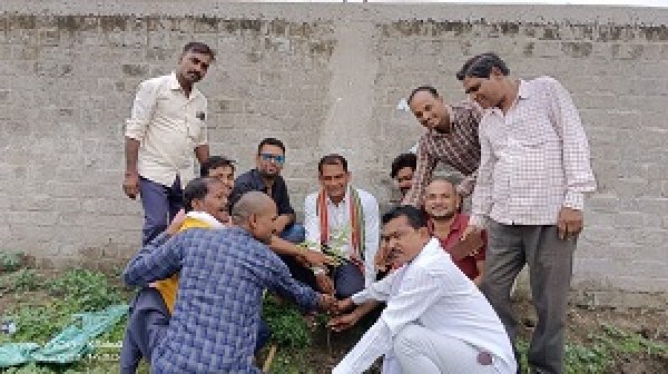 सहकारी समिति झाल में किया गया वृक्षारोपण