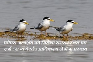कोपरा जलाशय को मिलेगा रामसर स्थल का दर्जा : राज्य वेटलैंड प्राधिकरण ने भेजा प्रस्ताव