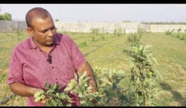 *मुख्यमंत्री की पहल पर छत्तीसगढ़ के युवा किसान कर रहे हैं खेती में नवाचार