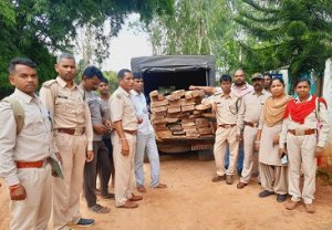 माकड़ी परिक्षेत्र को मिली बड़ी कामयाबी, साल और बीजा के 76 नग चिरान के साथ एक आरोपी गिरफ्तार