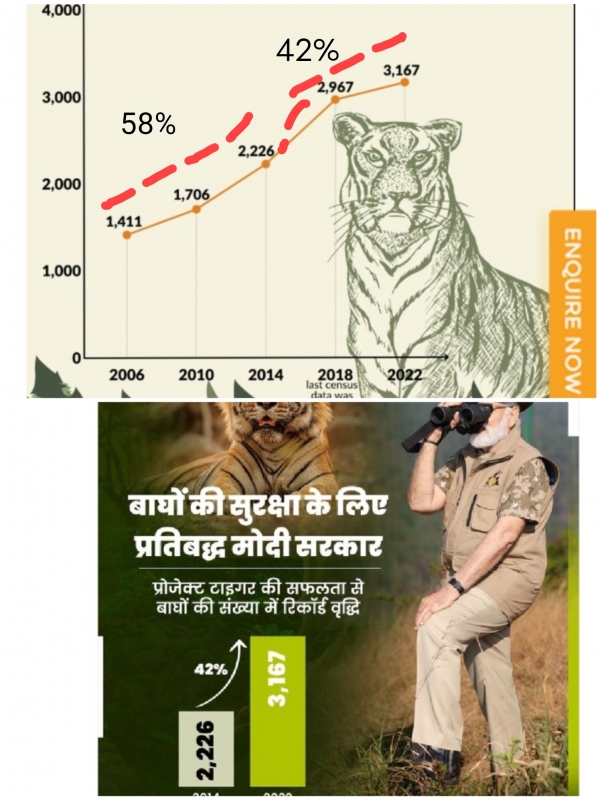 बाघों के संरक्षण के मामले में मोदी सरकार मनमोहन सरकार से पीछे