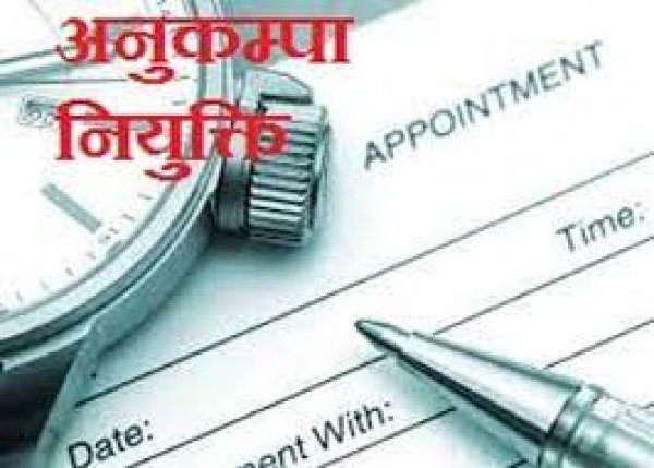 रायपुर जिले में स्कूल शिक्षा विभाग में 50 लोगों को मिली अनुकम्पा नियुक्ति