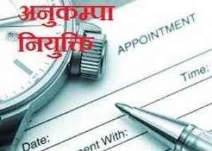 रायपुर जिले में स्कूल शिक्षा विभाग में 50 लोगों को मिली अनुकम्पा नियुक्ति