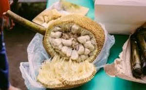 ये 5 लोग भूलकर भी न करें कटहल का सेवन, सेहत को हो सकते हैं खतरनाक नुकसान