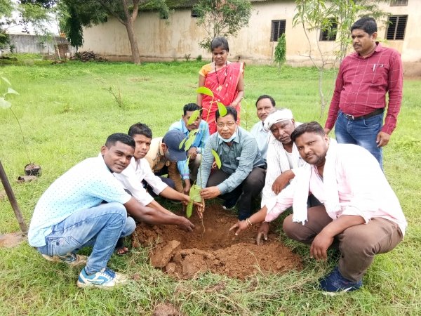 सिंचाई विभाग कार्यालय परिसर में पौधा रोपण किया गया