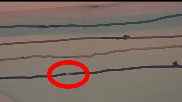 मीना बाजार में सुरक्षा की भारी लापरवाही, जिम्मेदार अधिकारी क्यों नहीं कर रहे कार्यवाही?