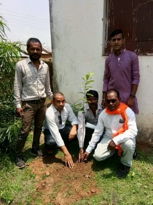 झुग्गी-झोपड़ी प्रकोष्ठ के तत्वाधान में पौधारोपण