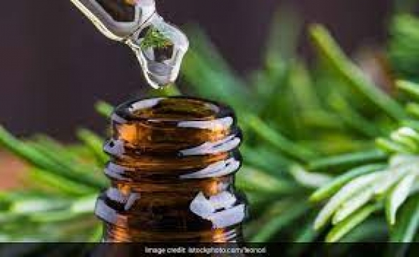 घुटनों तक लंबे बाल चाहिए तो बादाम या नारियल नहीं बल्कि इन हरी पत्तियों का तेल देखें लगाकर