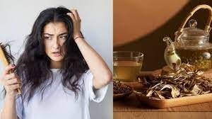 बालों की प्रॉब्लम के लिए चाय पत्ती का करें इस्तेमाल, दादी-नानी का फेवरेट है ये देसी नुस्खा